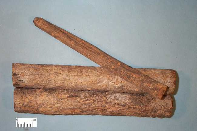 厚朴的功效与作用,厚朴的副作用与禁忌,中药厚朴图片