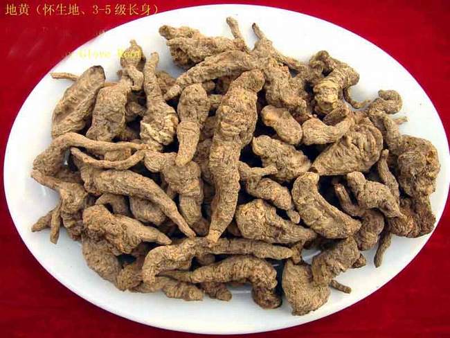 生地黄的功效与作用及食用方法,中药生地图片