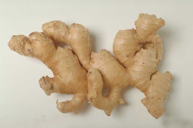 生姜的功效与作用,生姜的用法用量,中药生姜的图片