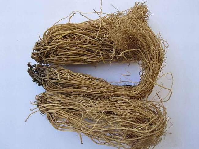 细辛的功效与作用,细辛的副作用与禁忌,中药细辛图片