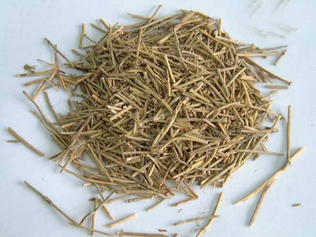 麻黄的功效与作用,麻黄的性味归经,中药麻黄的图片