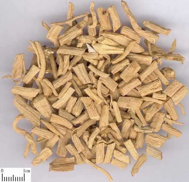 柴胡的功效与作用,柴胡的用法用量,中药柴胡图片