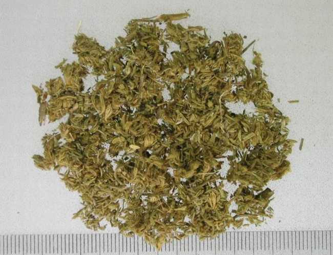 茵陈蒿的功效与作用,茵陈的副作用与禁忌,中药茵陈图片