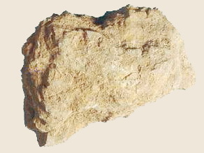 太一余粮的功效与作用,中药太一余粮图片