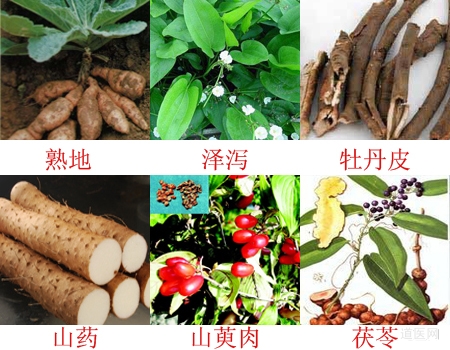 中成药大全及功能主治