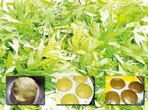 艾草的功效与作用