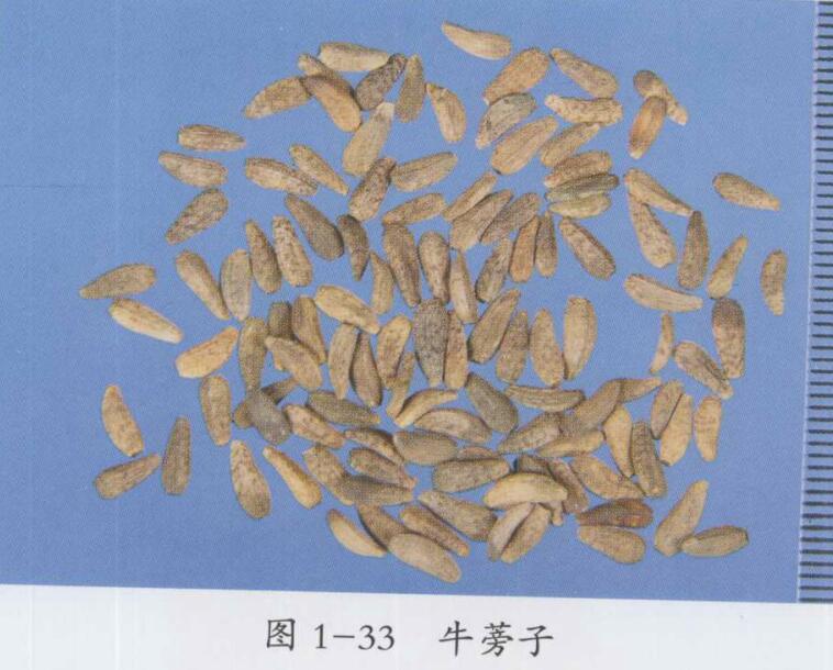 清燥救肺汤加味治疗慢性哮喘型支气管炎