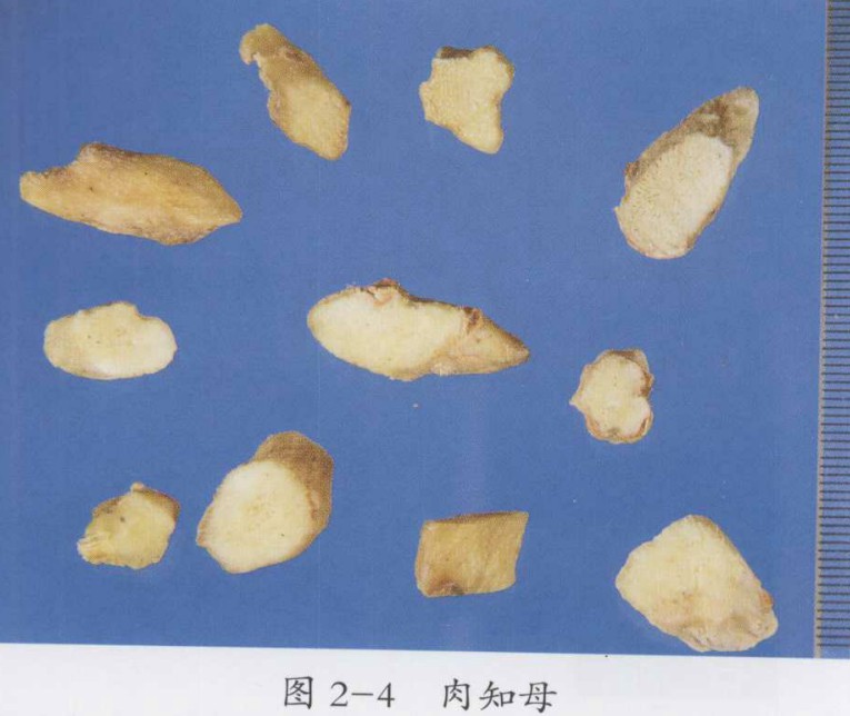 知柏地黄汤加味治疗肝肾阴亏，虚火上炽型头痛