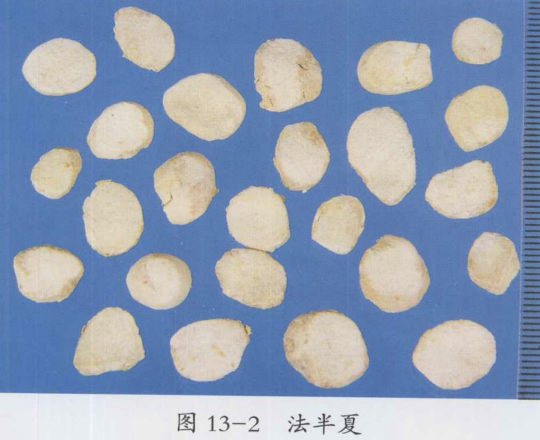 疏肝和胃饮治疗胃脘痛，胃及十二指肠溃疡