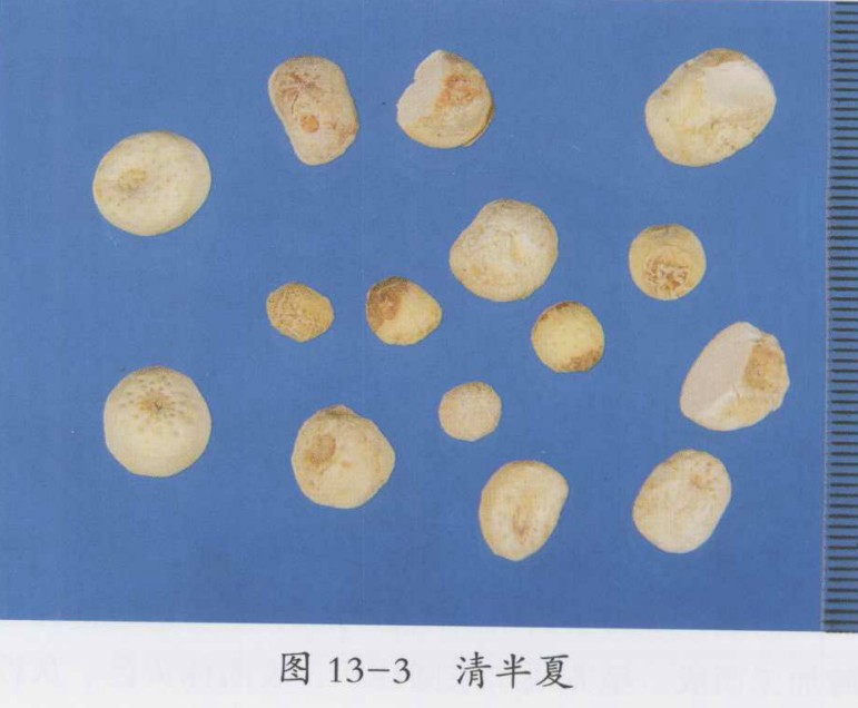 二陈汤加减治疗痰湿咳嗽,慢性气管炎