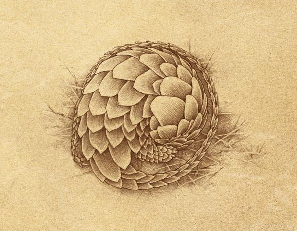 名中医治疗扁桃体炎的用药经验