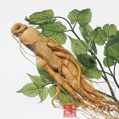 大半夏汤合枳实栀子豉汤、大黄甘草汤加味治疗噎膈兼反胃呕吐