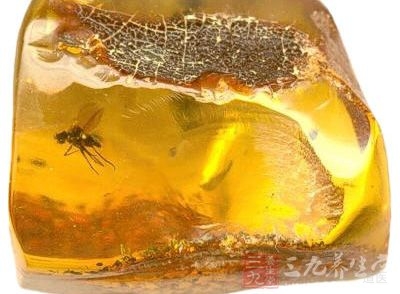琥珀的功效与作用