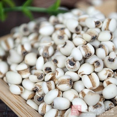 千金苇茎汤合麻杏石甘汤加减治疗肺粘连