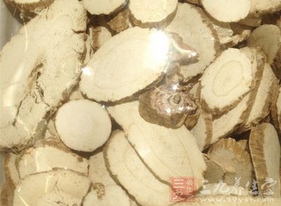 黄芪的药理作用：肾病黄芪是主药