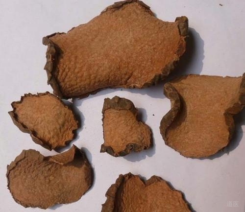 黄药子有消肿软坚，理气通络之效