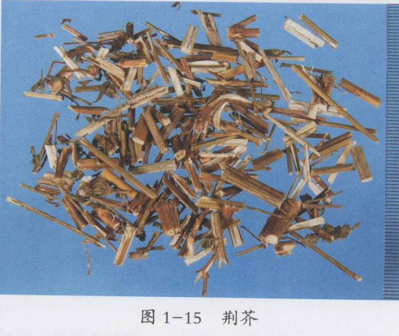 风寒感冒的症状,风寒感冒中医方剂