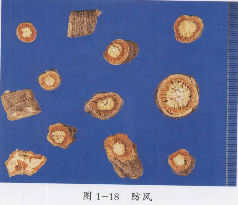 感冒中医辨证论治医案二则