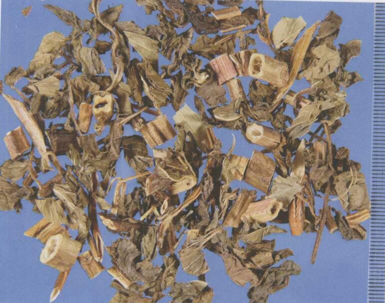 浅表性胃炎,胃脘痛的中医治疗秘方