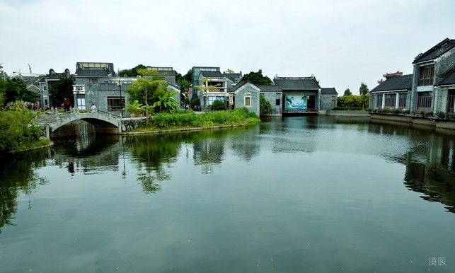 半夏泻心汤在岭南湿病中的应用