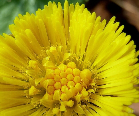 鼻塞怎么办速效办法，鼻塞不通气中医小偏方