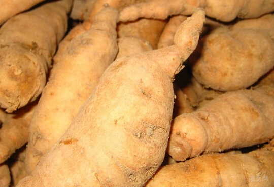 名中医治疗皮肤病的临床经验，重用生地凉血清热效果佳