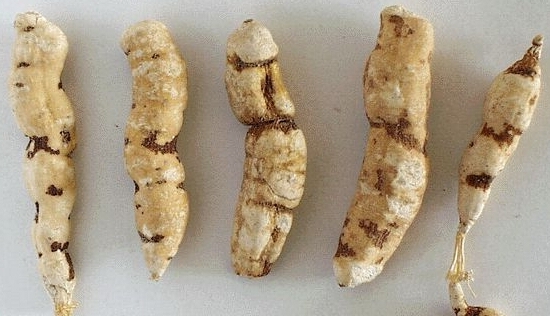 大黄甘遂合用治疗肝硬化腹水一例