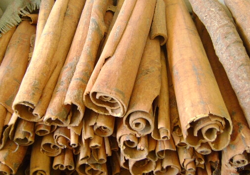 妊娠恶阻的中医辨证论治一例