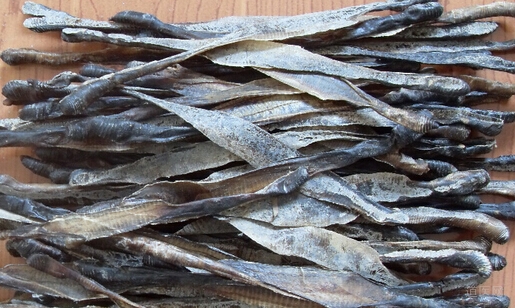 地龙的作用与功效