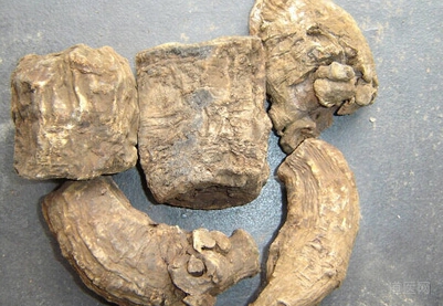 急性胰腺炎的中医治疗方法，净胰汤疗效佳