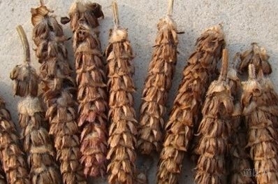 夏枯草的功效与作用，夏枯草的用法用量