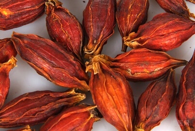 名中医重用栀子治疗顽固性痛经