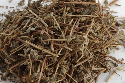 地锦草的功效与作用，治血尿止血作用更胜阿胶