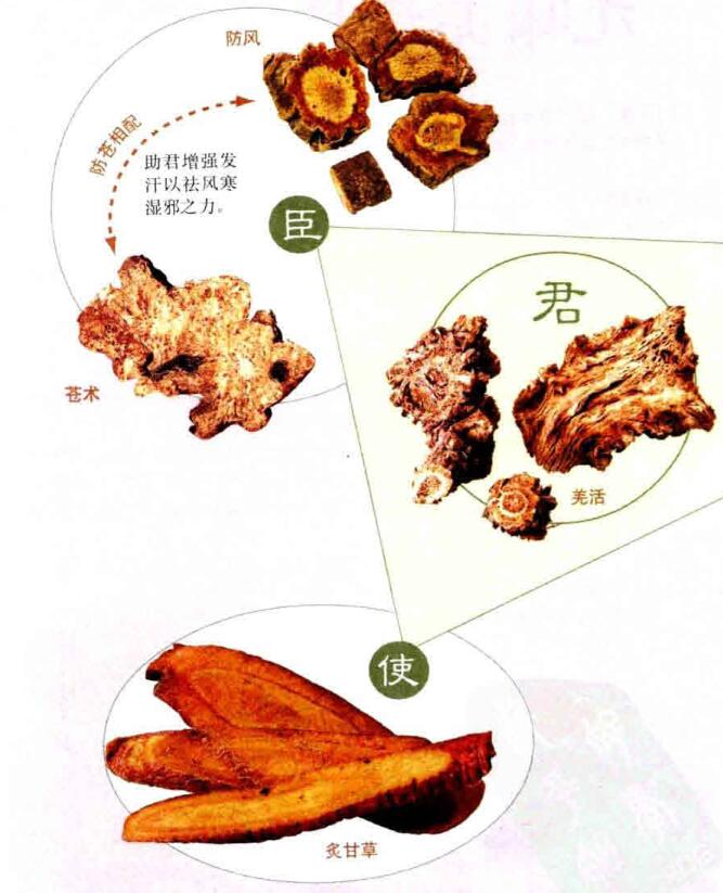 九味羌活汤组成，方歌方解，配伍特点，临床应用