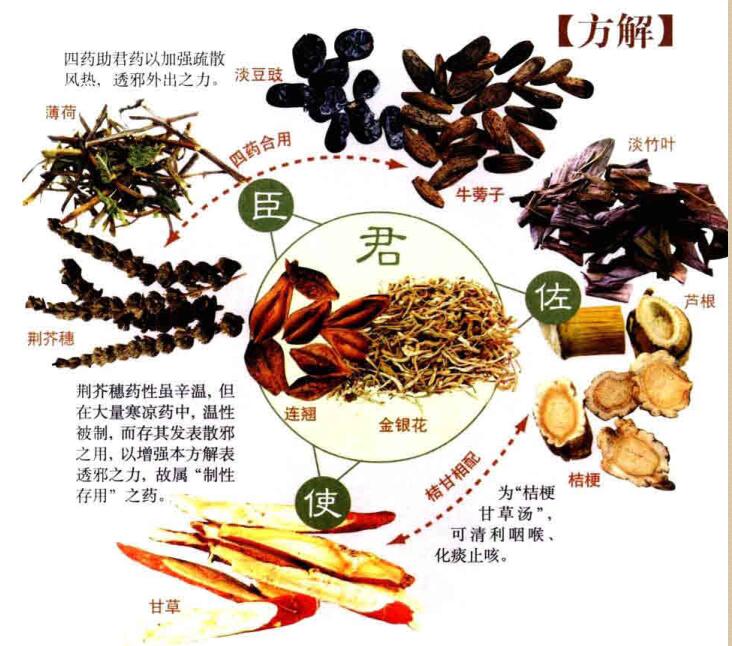 银翘散临床应用