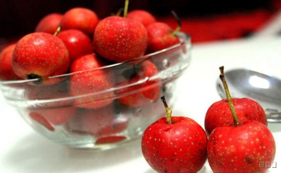 山楂的功效与临床新用途