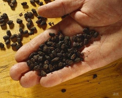 豆豉的功效与作用，豆豉粉外敷治疗口疮有良效