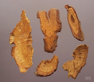 虎杖治疗白细胞减少，血小板减少有显效