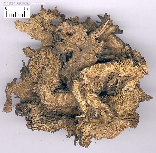 口腔溃疡的中药治疗新方