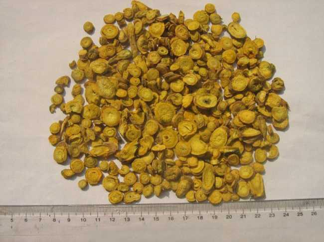 藿香正气散加味治疗内蕴湿邪，外感风寒，寒湿相搏证