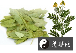 番泻叶的功效与作用