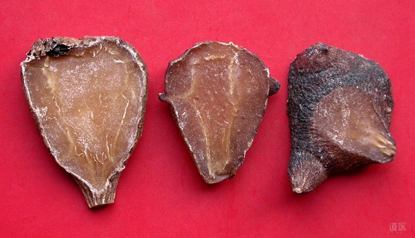 治出血之法：温阳止血