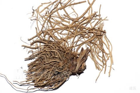 细辛的作用：善用细辛升肾阴