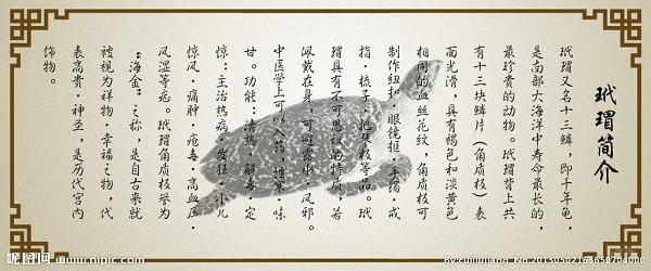 一贯煎滋肝疏肝，玳瑁平肝潜阳治疗高血压