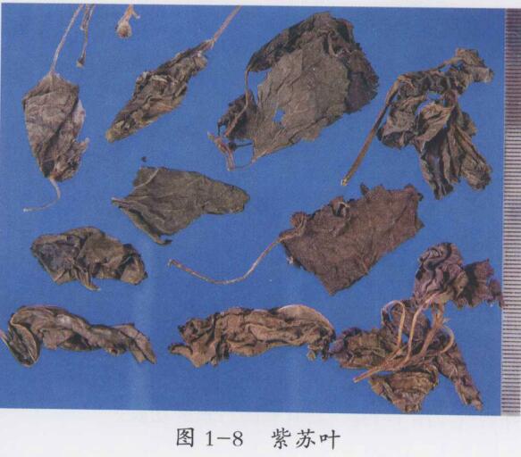 藿香和中汤加减治疗恶寒发热，腹胀痞闷，胃脘不舒