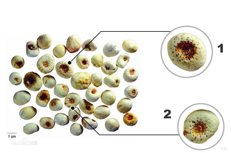 顽固性失眠治疗方法，重用法半夏镇静安神