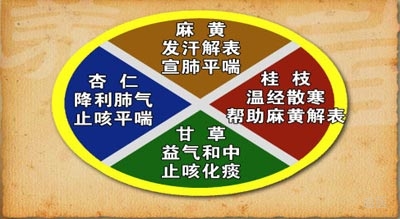 中医选方用药的原则及常用中药的配伍