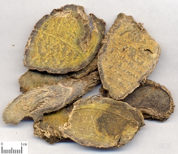 莪术的临床应用经验，重用莪术治胃病