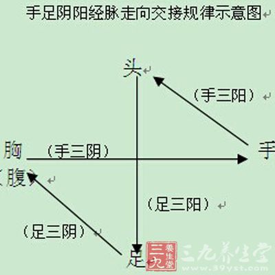 经络的作用，十二经络走向图和流注次序