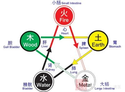 五脏六腑是什么？五脏六腑的关系及功能